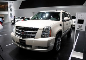 P׵ESCALADEDƬ