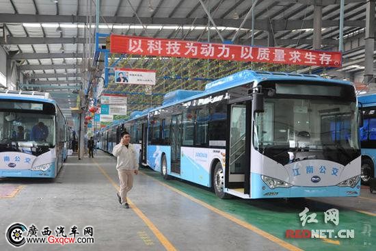 (長沙比亞迪工廠里等待交貨給南京的純電動(dòng)大巴車。)
