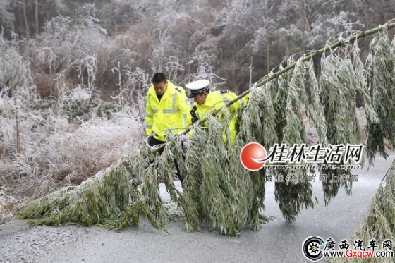 桂林供電局輸電運(yùn)維人員行進(jìn)在冰凌中。